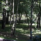 Гостиница Гармония Плюс, фото гостя