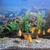 Парк-Отель Паустовский, фото гостя