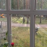 Комарово, фото отдыхающего в июле