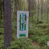 Загородный отель Комарово, фото гостя