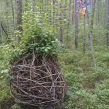 Загородный отель Комарово, фото гостя