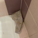 Гостевой дом Центральный, фото гостя