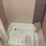 Гостевой дом Центральный, фото гостя