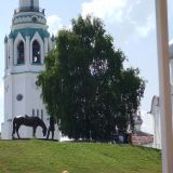 Вологда, фото отдыхающего в июле
