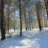 Тульская область, фото отдыхающего в июне