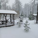 База отдыха Приокские зори, фото гостя