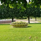 Санкт-Петербург, фото отдыхающего в июле
