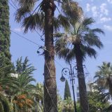 Кубань, фото отдыхающего в июле