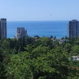 Кубань, фото отдыхающего в июле