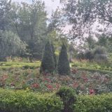 Центральная Россия, фото отдыхающего в июле