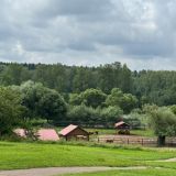 В парке птиц 