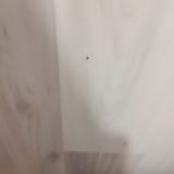 Отель Мой Питер на Советской, фото гостя