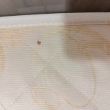 Отель Мой Питер на Советской, фото гостя