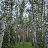 АМАКС Парк-Отель, фото гостя
