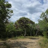 Загородный отель Прибой, фото гостя