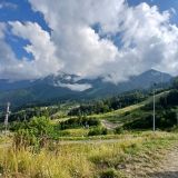 Кубань, фото отдыхающего в июле