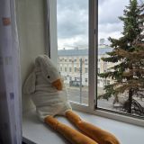 Гостиничный комплекс Селигер, фото гостя