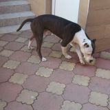 Гостевой дом Чайка, фото гостя