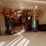 Отель NIHAO Hotel St. Petersburg, фото гостя