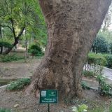 Санаторий Белоруссия, фото гостя