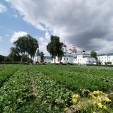 Гостевой дом Аист, фото гостя
