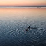 Плещеево озеро, фото отдыхающего в июле