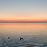 Плещеево озеро, фото отдыхающего в июле