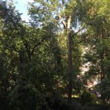 Гостиница Славянка Москва, фото гостя