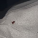 Апартаменты LeoHotels, фото гостя