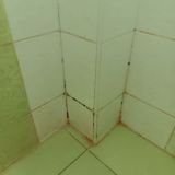 Гостиница Casa Blanca, фото гостя