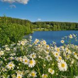 Отель-заповедник Лесное, фото гостя