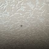 Пинск, фото отдыхающего в июне