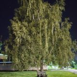 Переславль-Залесский, фото отдыхающего в июле