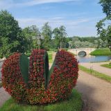 Санкт-Петербург, фото отдыхающего в июле