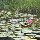 Краснодарский край, фото отдыхающего в июле
