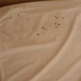 Якорная Щель, фото отдыхающего в июле