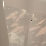 Якорная Щель, фото отдыхающего в июле