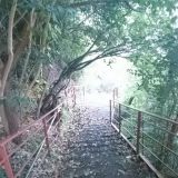 Отель Villa Plaza, фото гостя