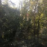 Гостиница Лососинская, фото гостя