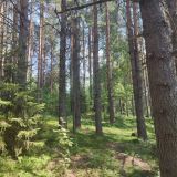 База отдыха ALDI-Karelia, фото гостя