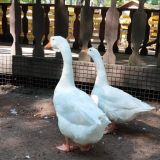 Парк Отель, фото гостя