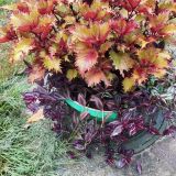 Парк Отель, фото гостя