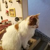 Отель Три кота, фото гостя