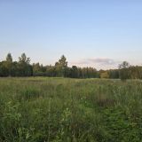Гостевой дом Усадьба Мордвеза, фото гостя