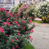 Курортный отель Бархатные Сезоны Семейный Квартал, фото гостя