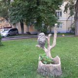 Отель Заречье, фото гостя