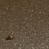 Гостиница Волга Волга, фото гостя