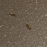 Гостиница Волга Волга, фото гостя