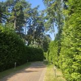 Отель МАЦ Гармония, фото гостя