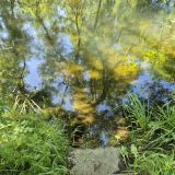 Пансионат Заря, фото гостя